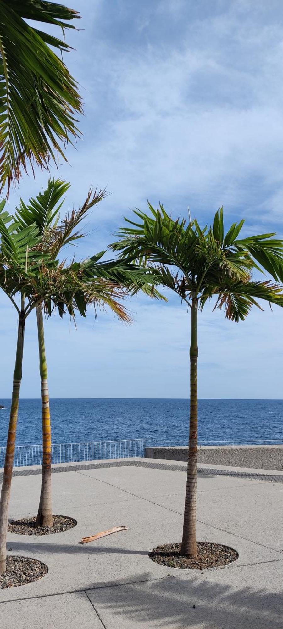 Atlantida Apartamento